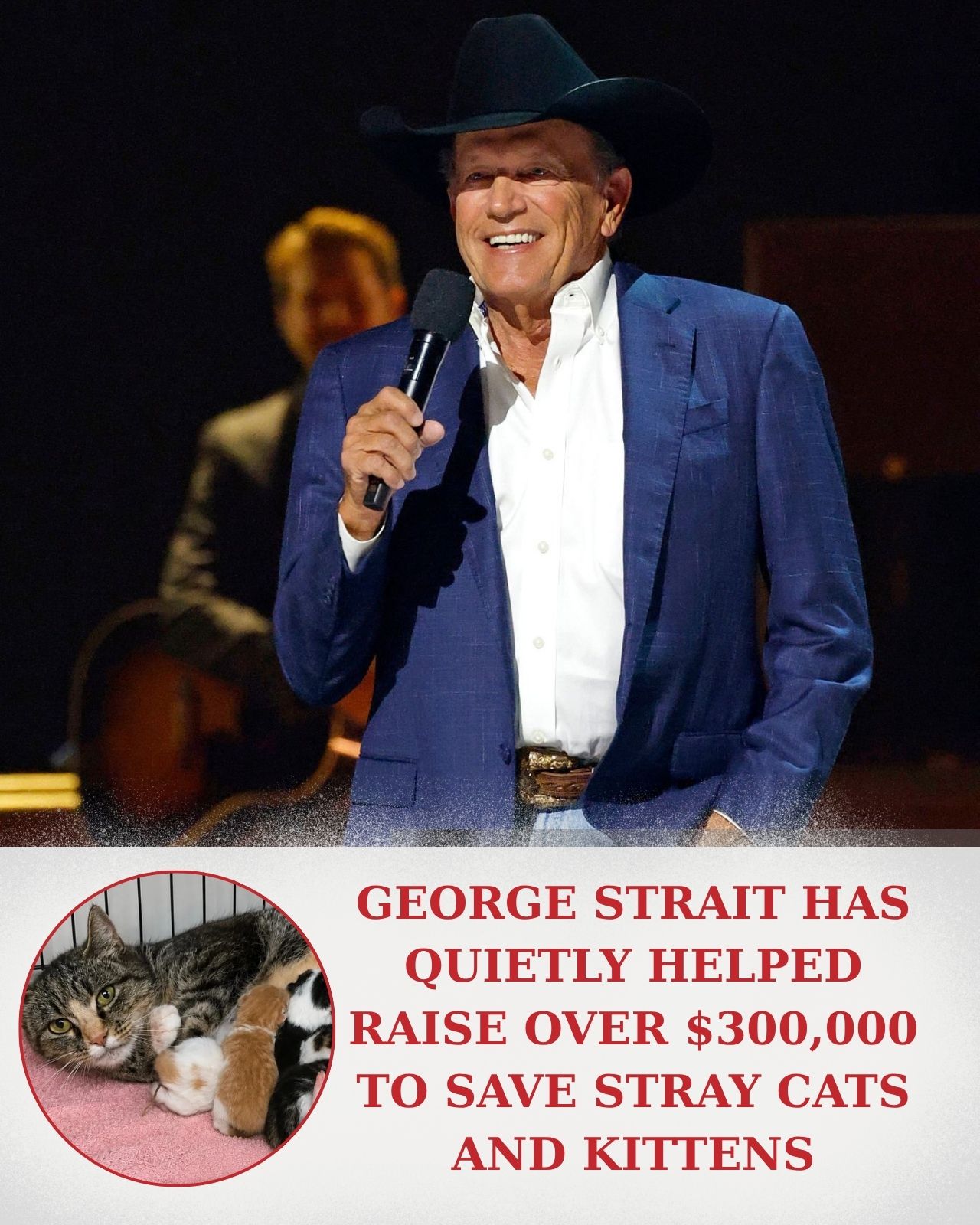 GEORGE STRAIT’S QUIET ACT OF KINDNESS REPORTEDLY RAISED NEARLY $300,000 FOR STRAY CATS — AND HUNDREDS OF LIVES CHANGED