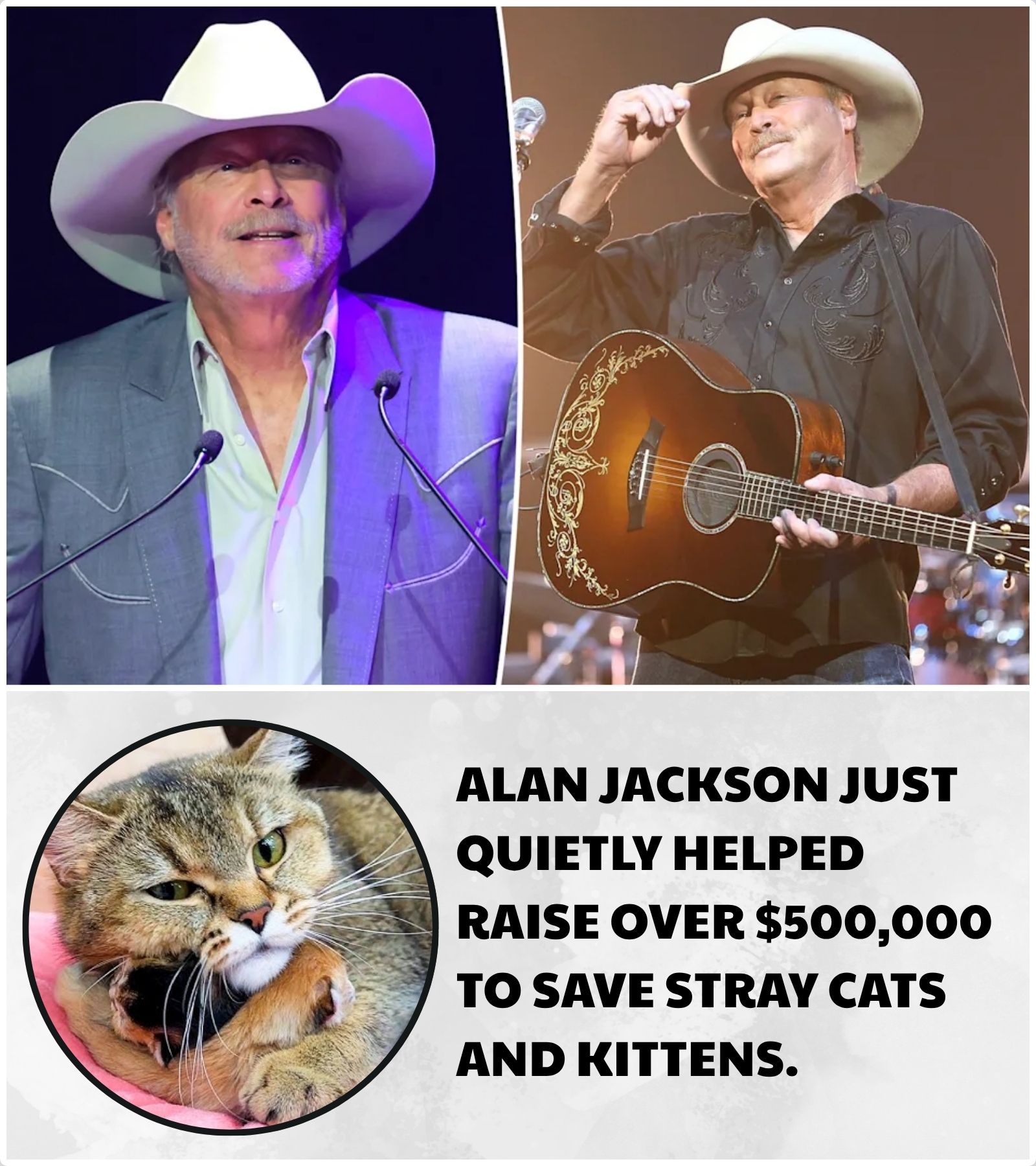 ALAN JACKSON’S QUIET BENEFIT REPORTEDLY RAISED NEARLY $500,000 FOR STRAY CATS — AND GAVE HUNDREDS OF FORGOTTEN ANIMALS HOPE