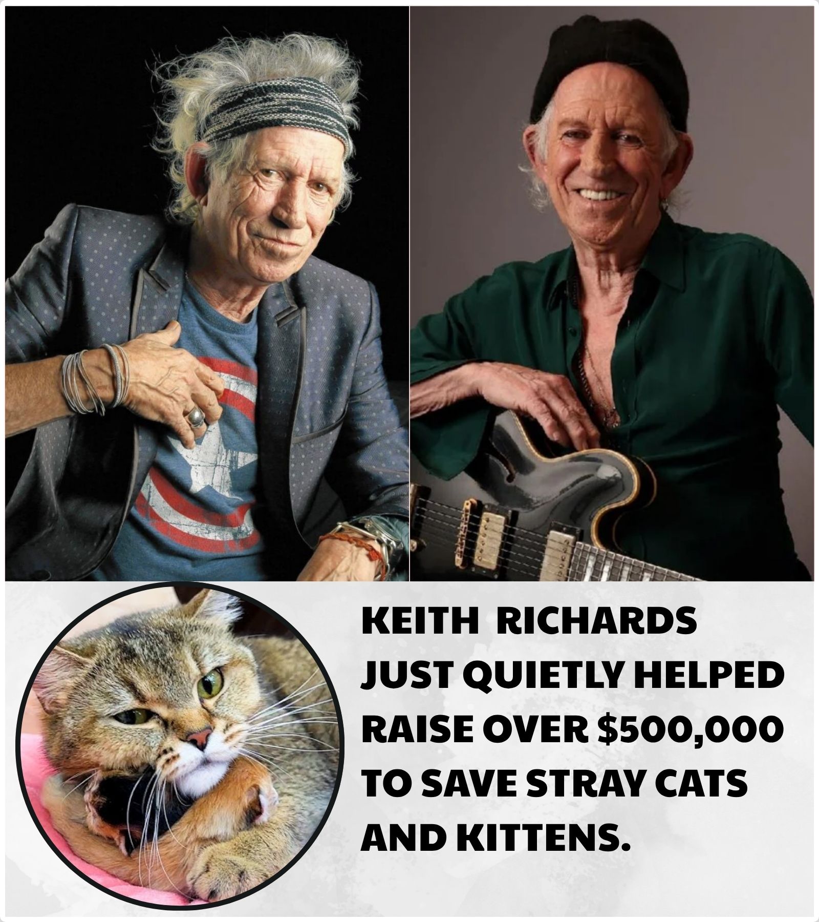 KEITH RICHARDS REPORTEDLY HELPED RAISE NEARLY $500,000 FOR STRAY CATS — AND ASKED FOR NOTHING IN RETURN