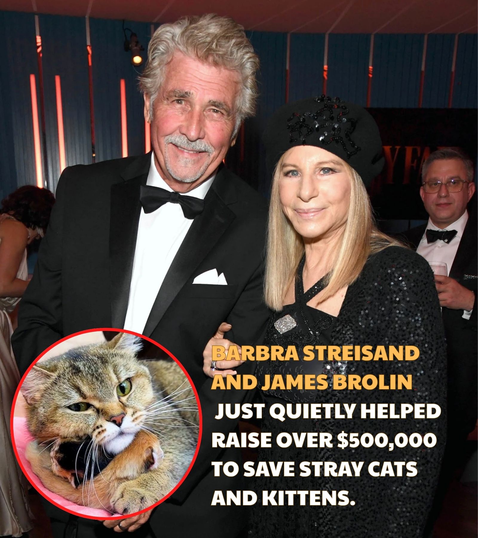 BARBRA STREISAND AND JAMES BROLIN HELPED RAISE NEARLY $500,000 FOR STRAY CATS — AND ASKED FOR NOTHING IN RETURN