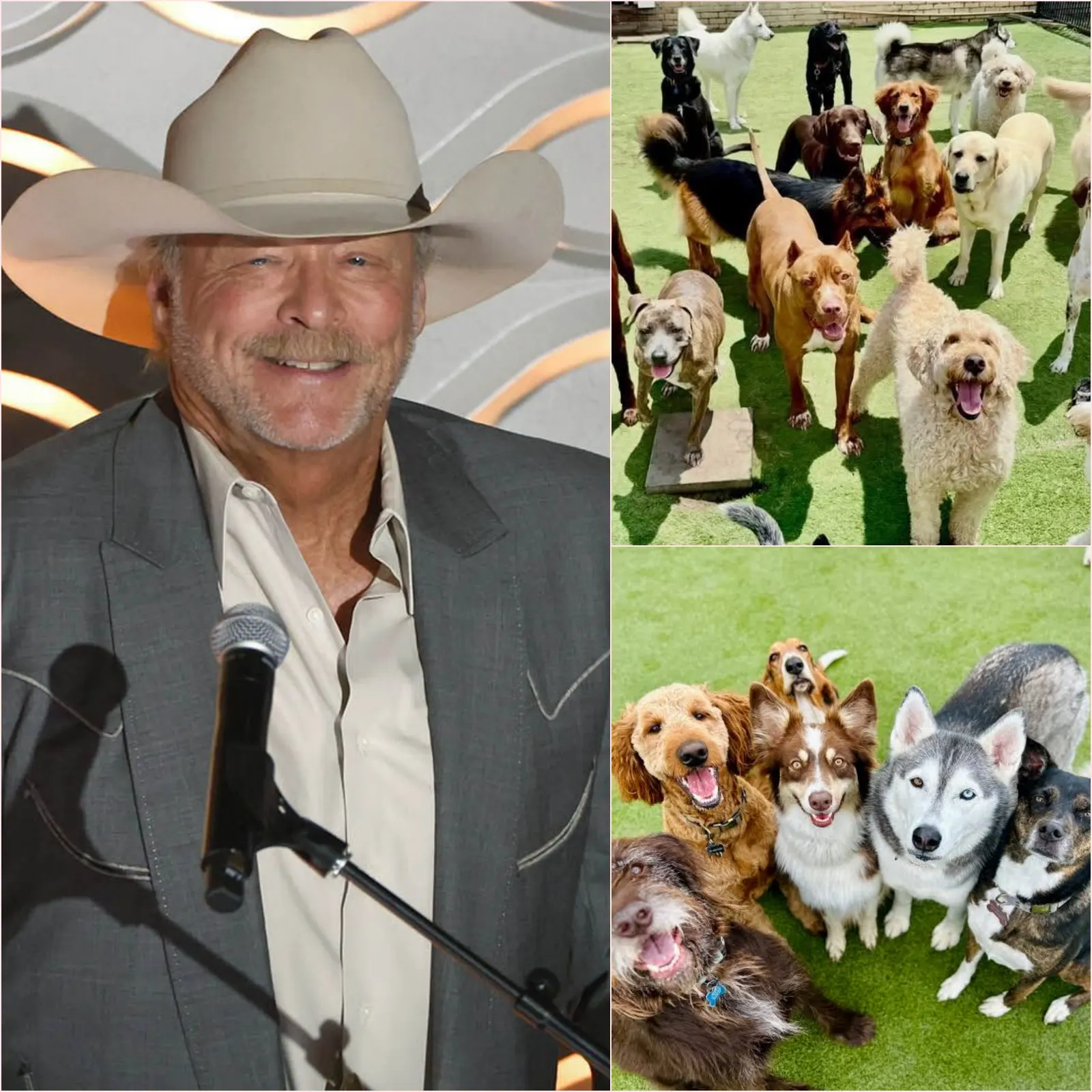 ALAN JACKSON REPORTEDLY BUILDS A MULTI-MILLION-DOLLAR DOG SANCTUARY — AND THE PERSONAL REASON BEHIND IT IS TOUCHING HEARTS